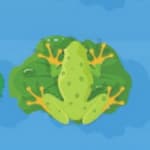 Clever Frog