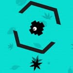 Ninja Shape