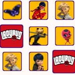 Ladybug Memory Puzzle