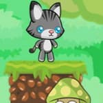Baby Cat Adventure
