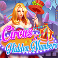 Circus Hidden Numbers