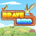 Brave Bird